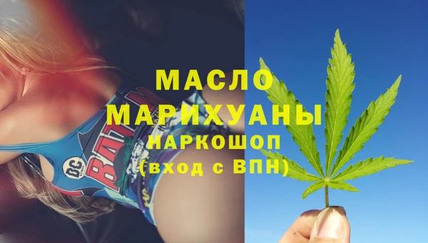 индика Михайлов