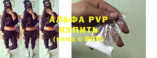 индика Михайлов
