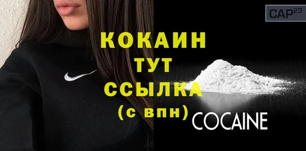 индика Михайлов