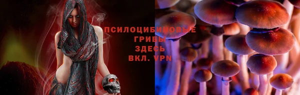 крисы Михайловка