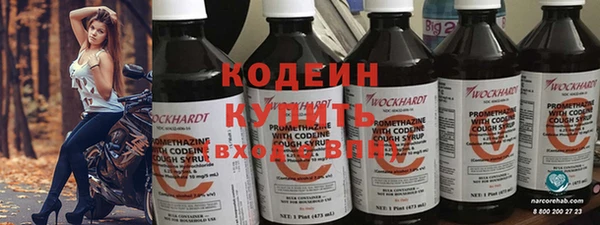 индика Михайлов