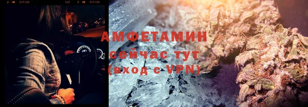 индика Михайлов