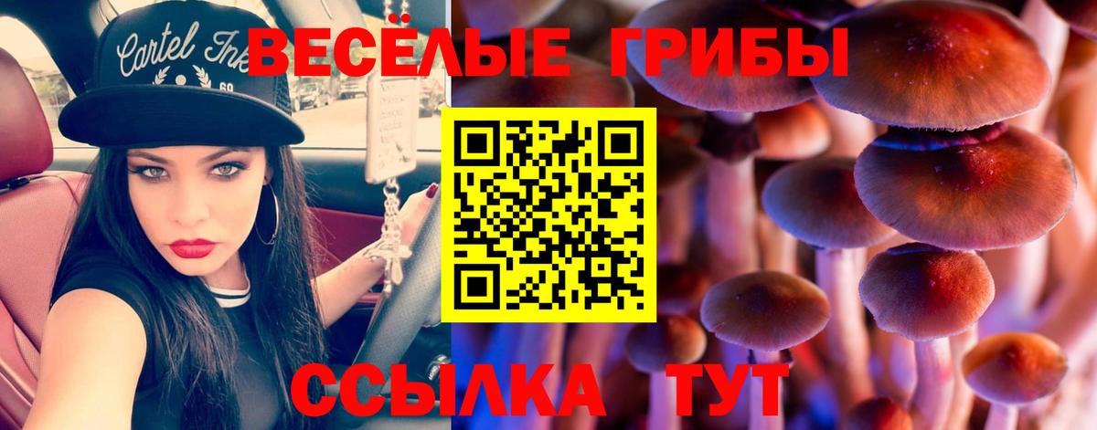Галлюциногенные грибы мухоморы  Вход с VPN  Псилоцибиновые грибы GOLDEN TEACHER  Усть-Джегута 